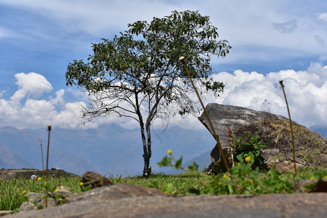 Choquequirao – how to hike solo