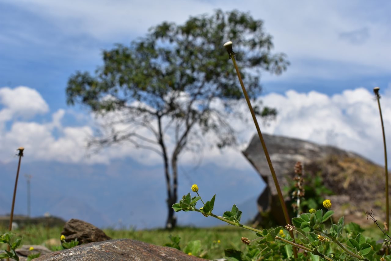 Choquequirao – how to hike solo