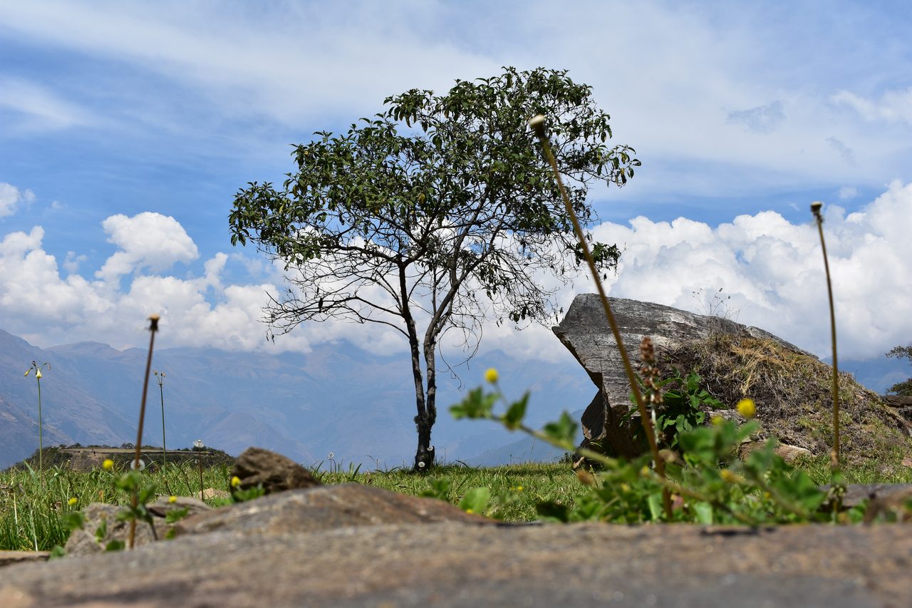 Choquequirao – how to hike solo