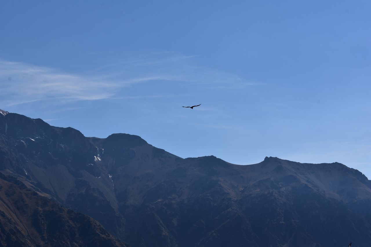 Colca Canyon