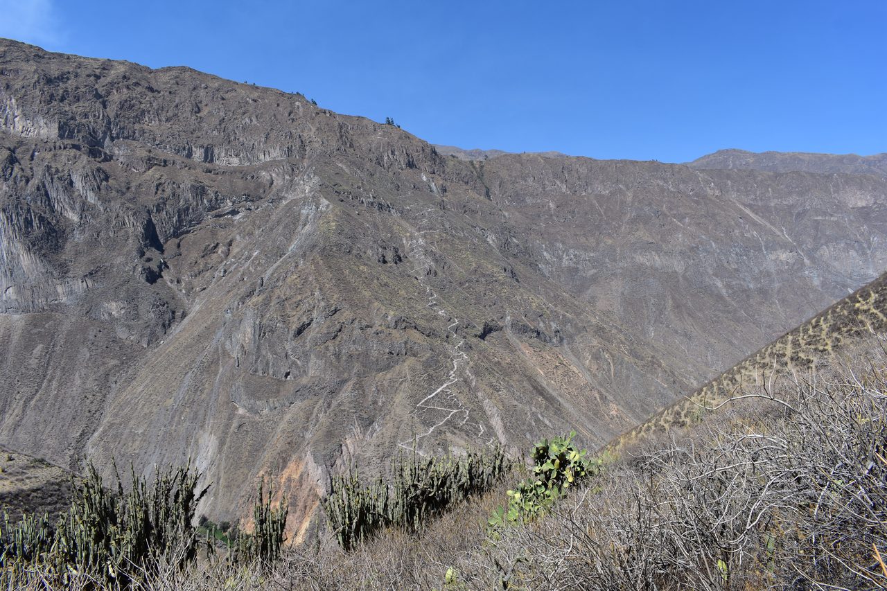 Colca Canyon