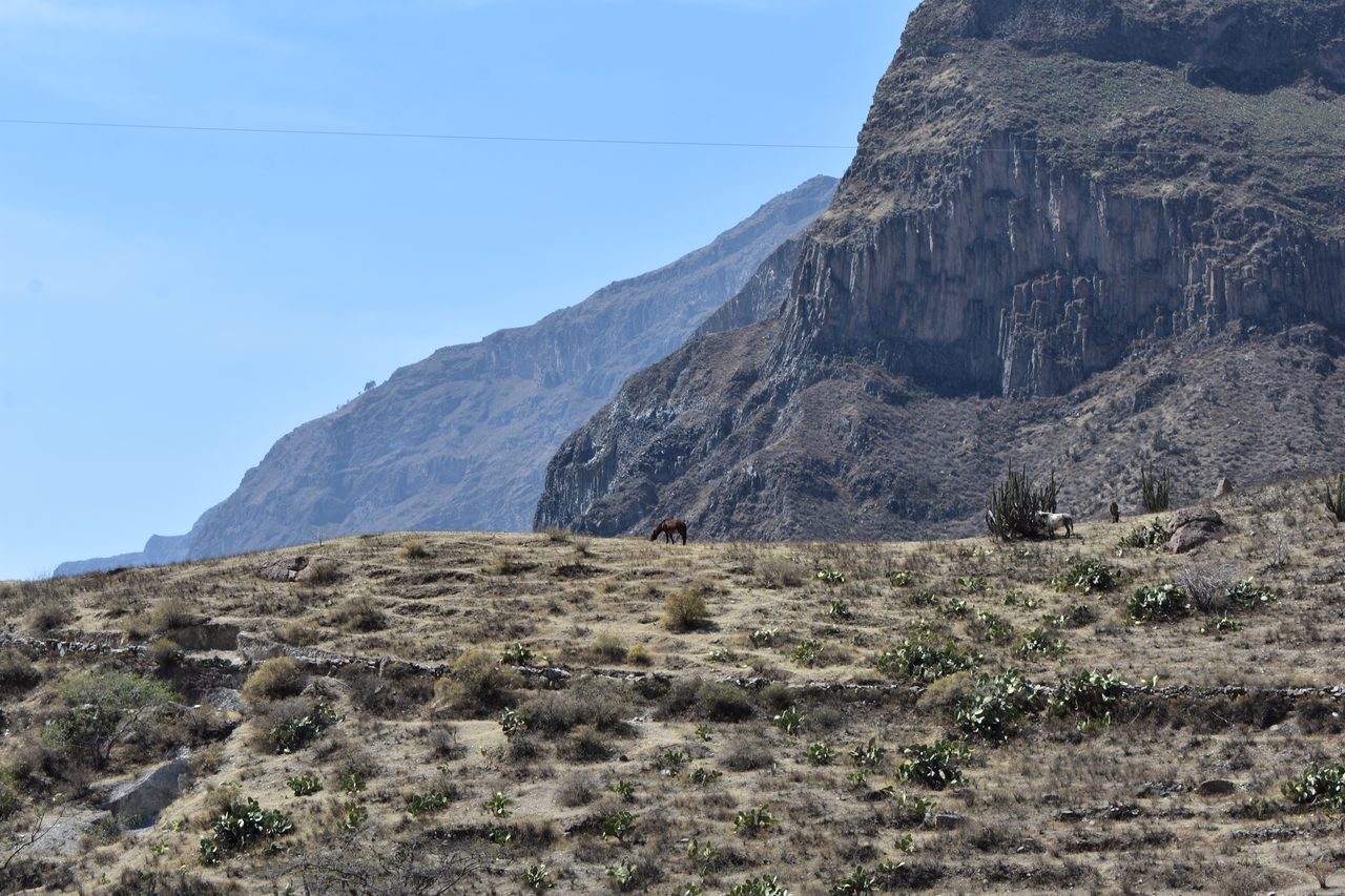 Colca Canyon
