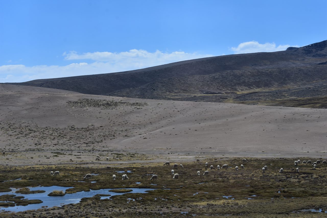 Colca Canyon