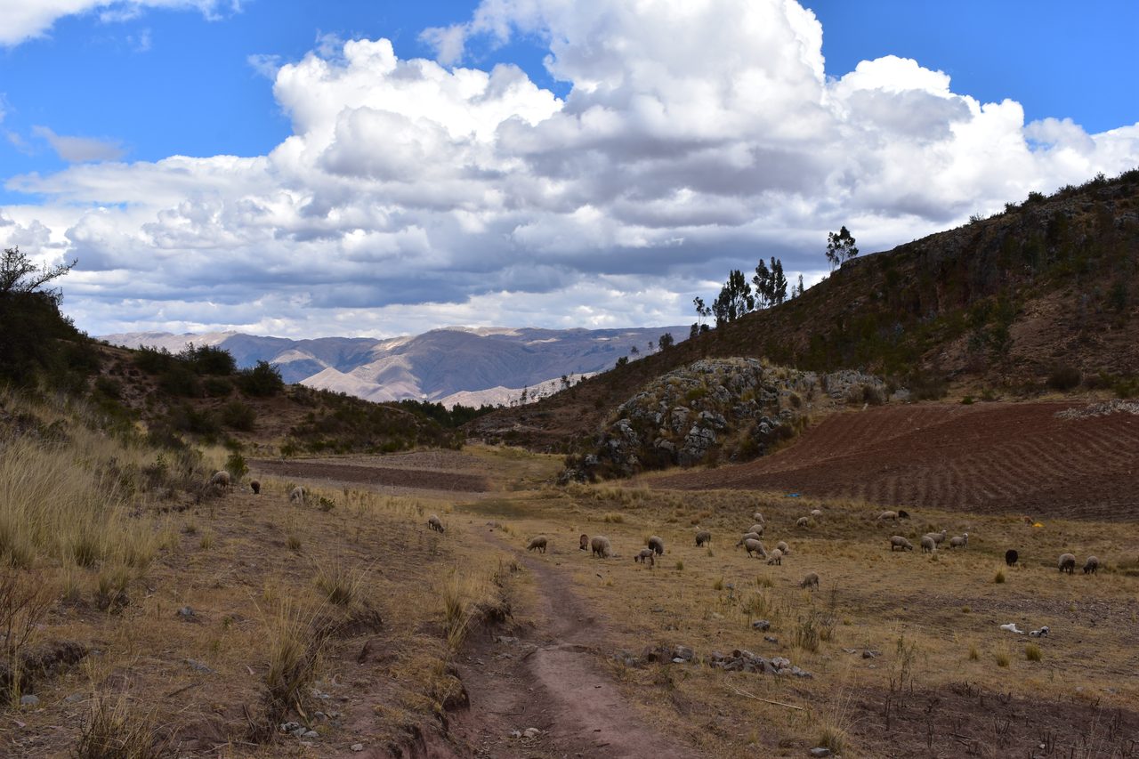 Cusco, Sacsayhuaman, Q’enqo, Chuspiyoq, Puka Pukara and Tambomachay
