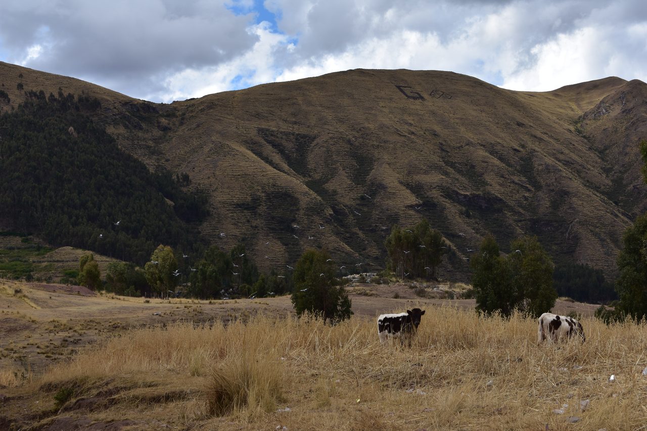 Cusco, Sacsayhuaman, Q’enqo, Chuspiyoq, Puka Pukara and Tambomachay