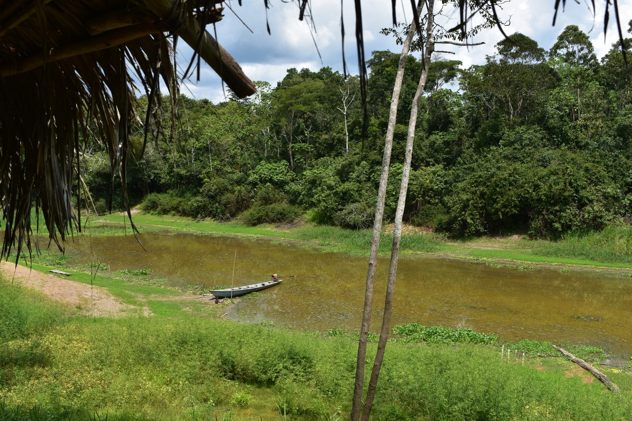 Chullachaqui Eco Lodge Amazon tour, Iquitos
