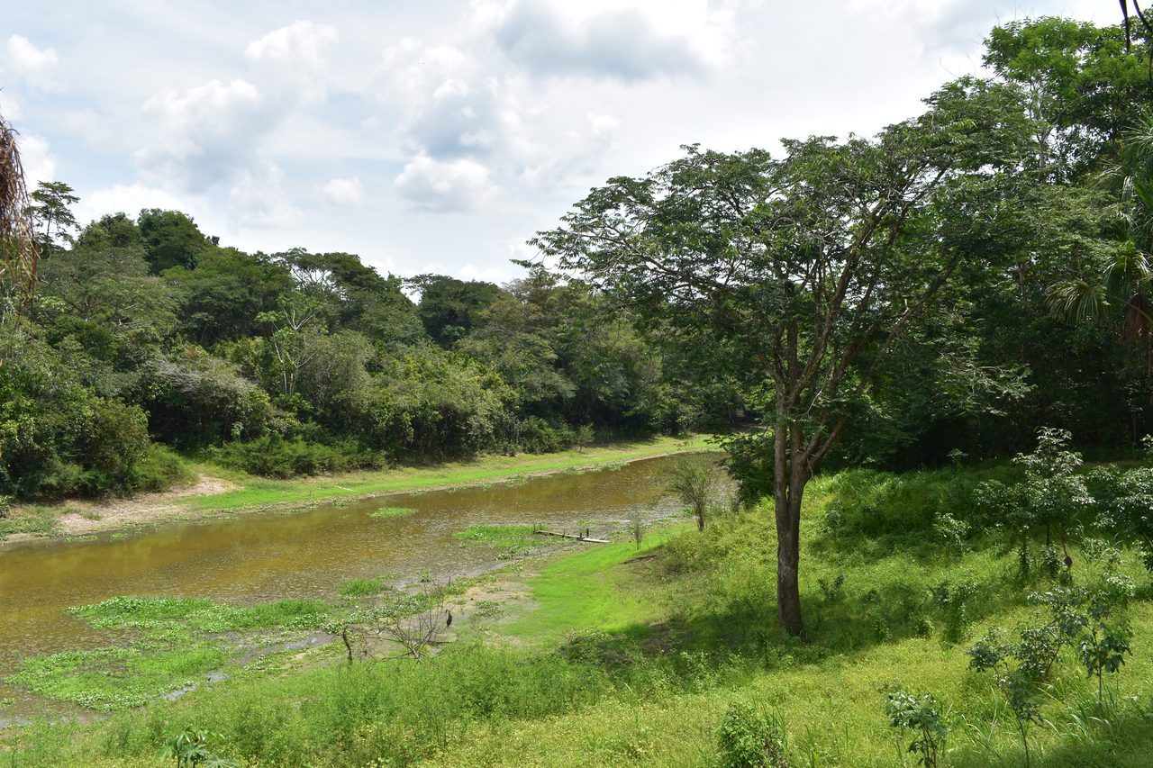 Chullachaqui Eco Lodge Amazon tour, Iquitos