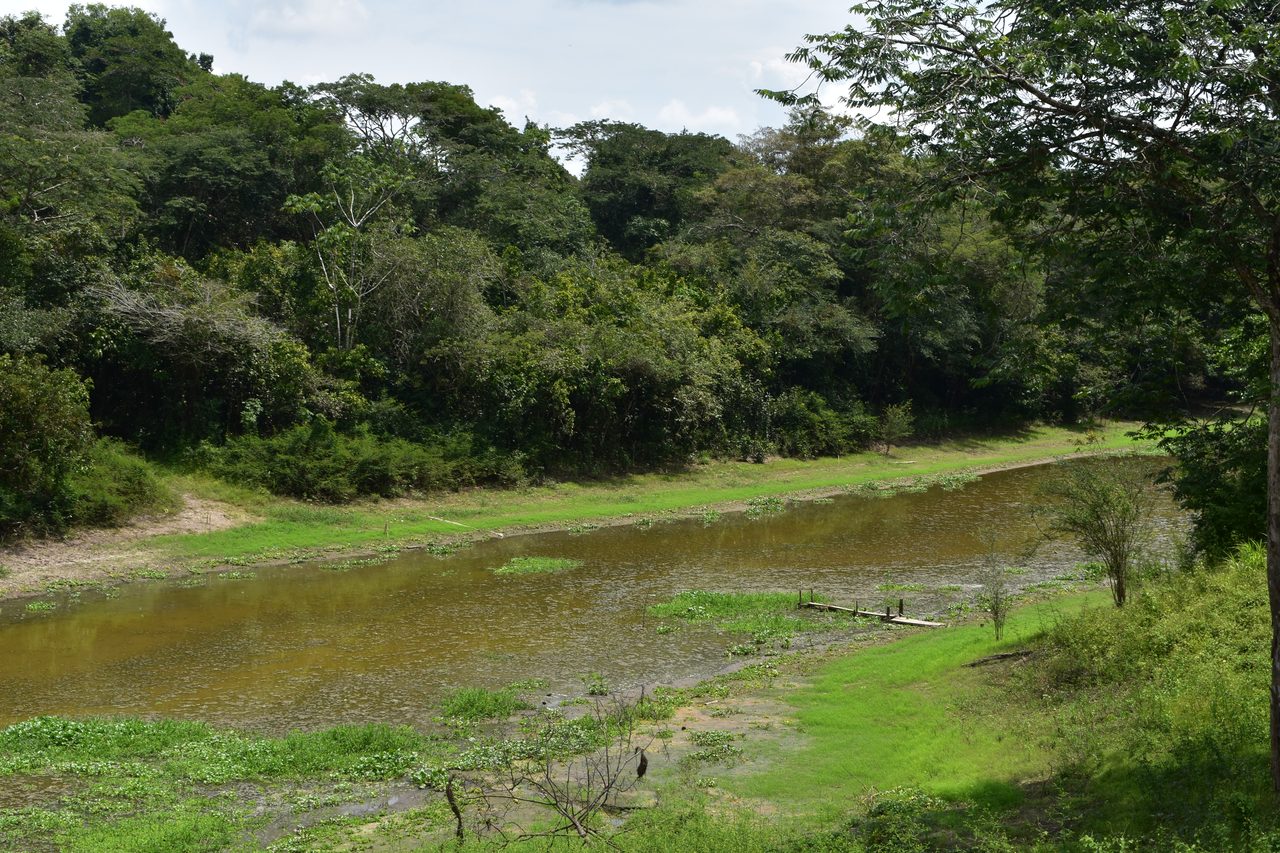 Chullachaqui Eco Lodge Amazon tour, Iquitos