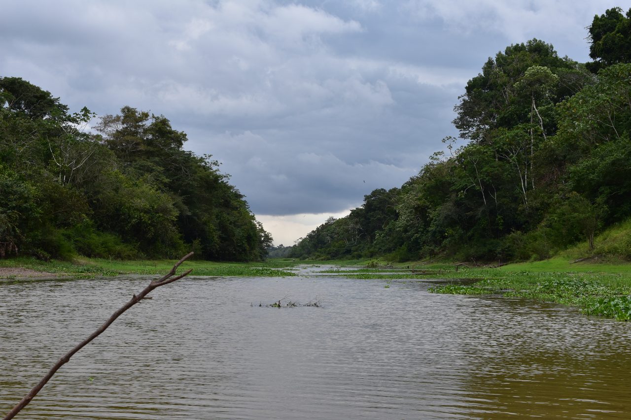 Chullachaqui Eco Lodge Amazon tour, Iquitos