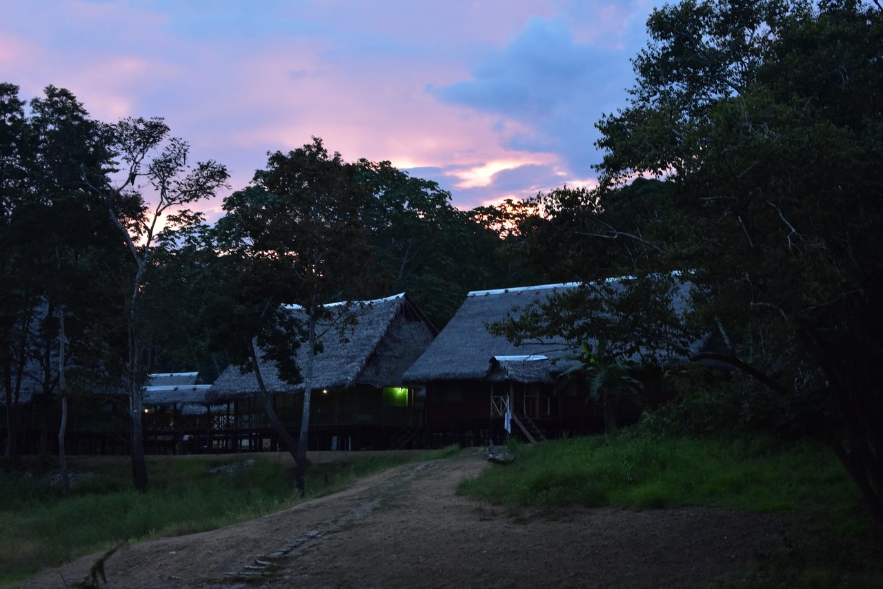 Chullachaqui Eco Lodge Amazon tour, Iquitos