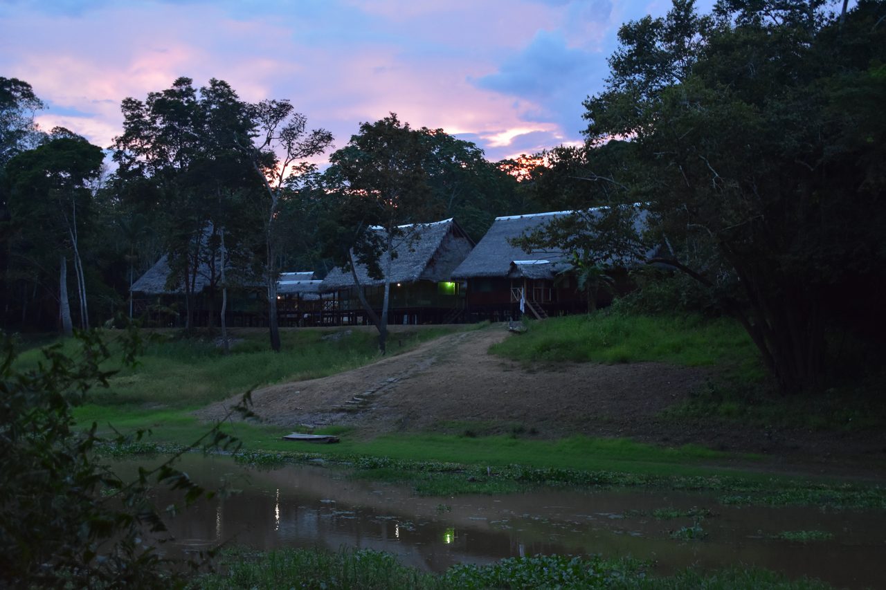 Chullachaqui Eco Lodge Amazon tour, Iquitos