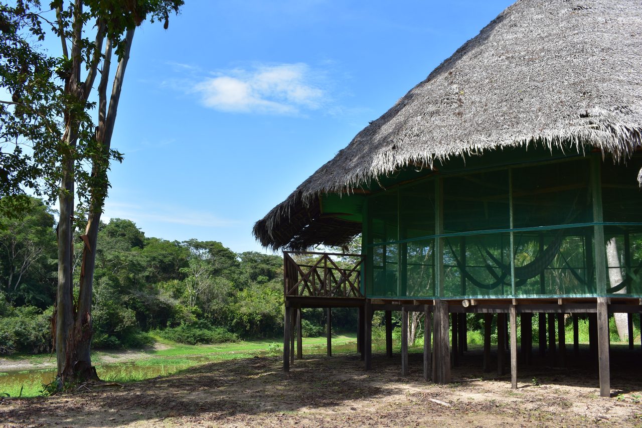Chullachaqui Eco Lodge Amazon tour, Iquitos