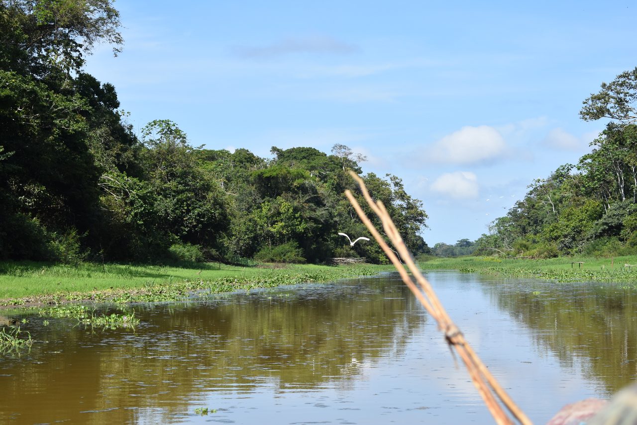 Chullachaqui Eco Lodge Amazon tour, Iquitos