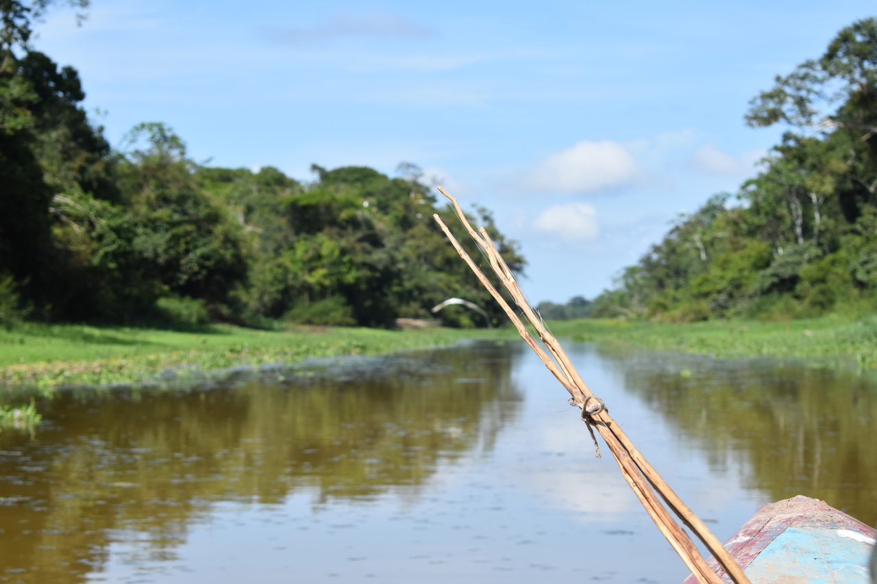 Chullachaqui Eco Lodge Amazon tour, Iquitos