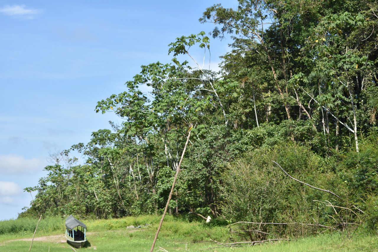 Chullachaqui Eco Lodge Amazon tour, Iquitos