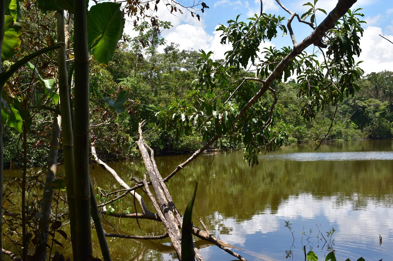 Chullachaqui Eco Lodge Amazon tour, Iquitos