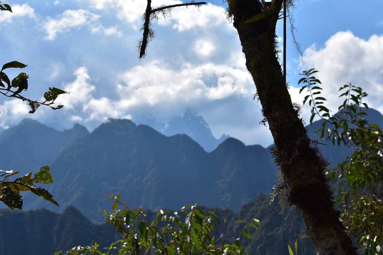 Machu Picchu
