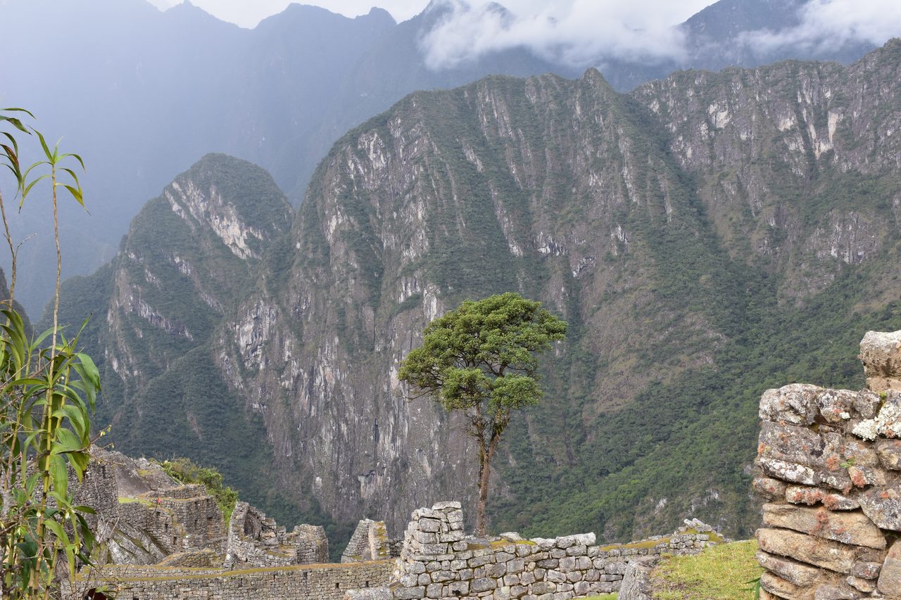 Machu Picchu