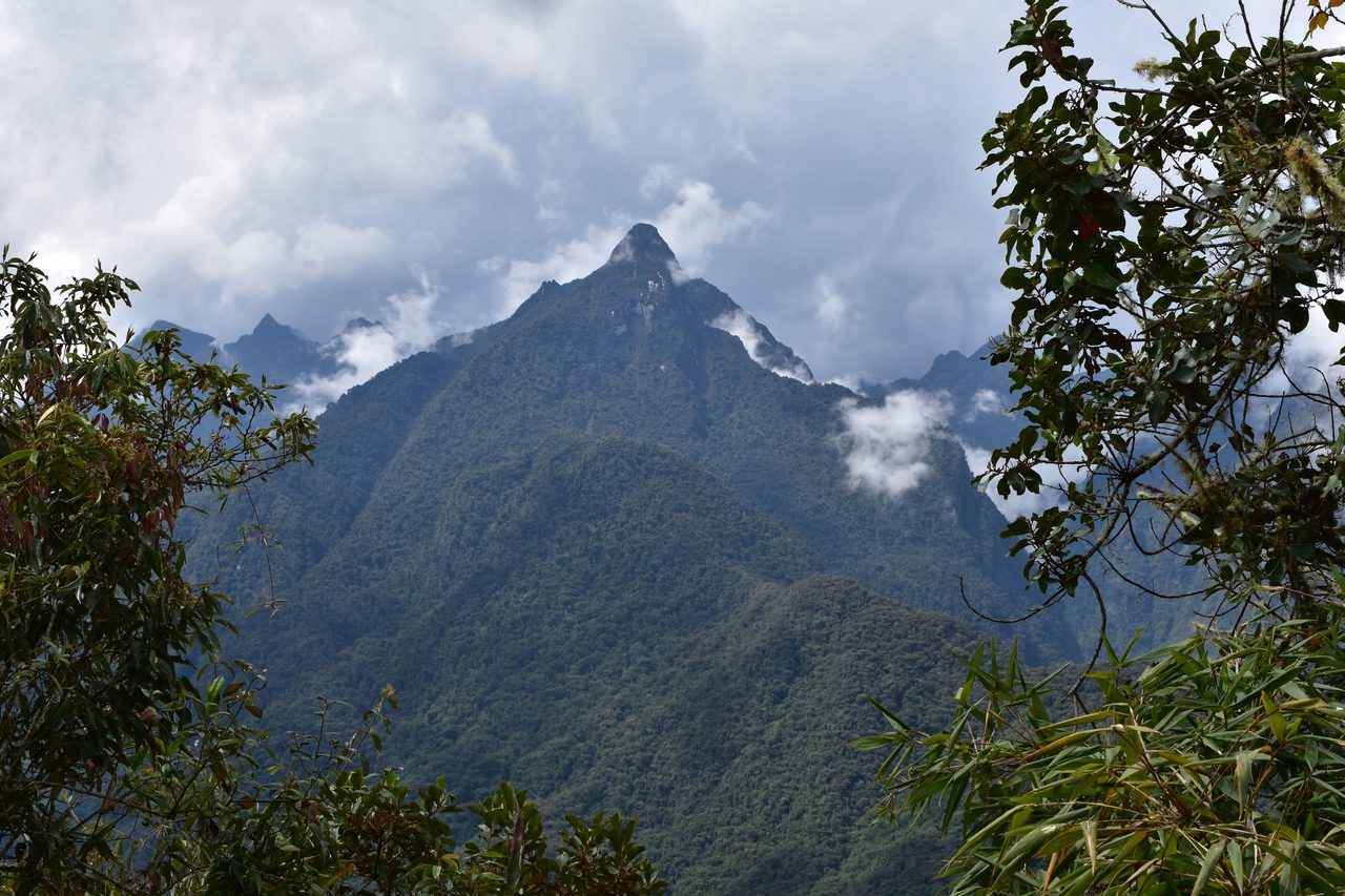 Machu Picchu