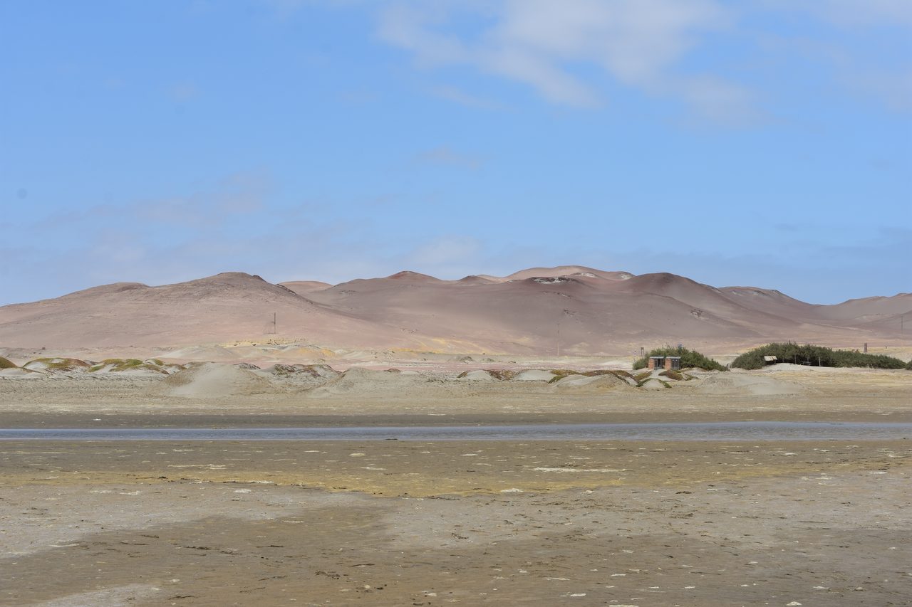 Paracas, Isla Ballesta and Parque National Paracas