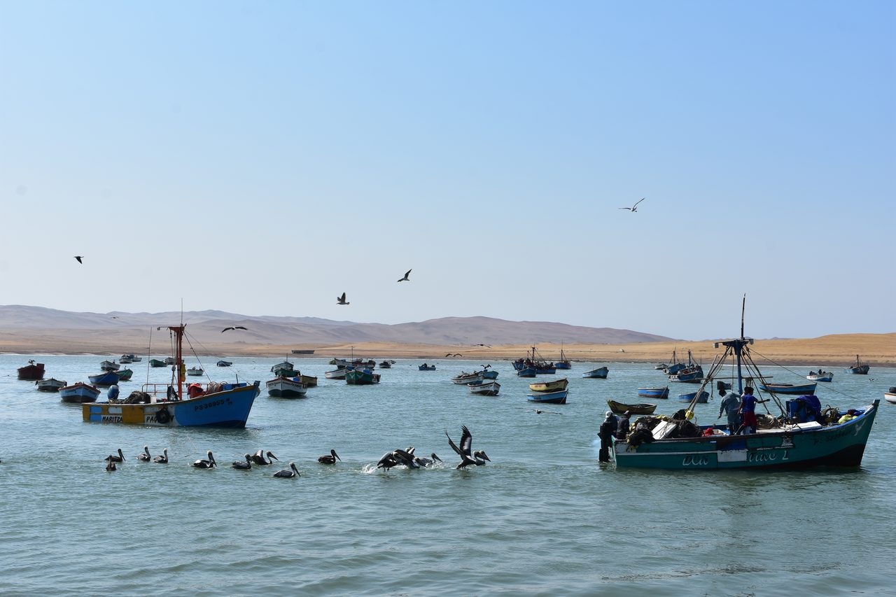Paracas, Isla Ballesta and Parque National Paracas