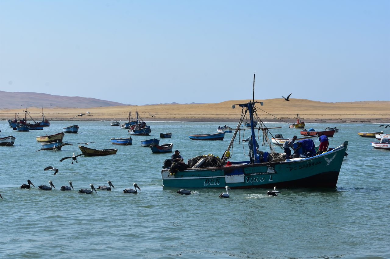 Paracas, Isla Ballesta and Parque National Paracas