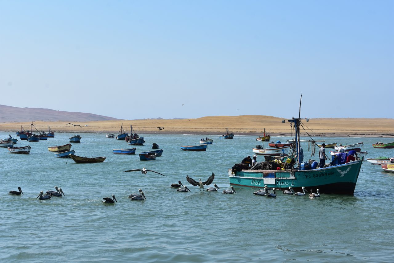 Paracas, Isla Ballesta and Parque National Paracas