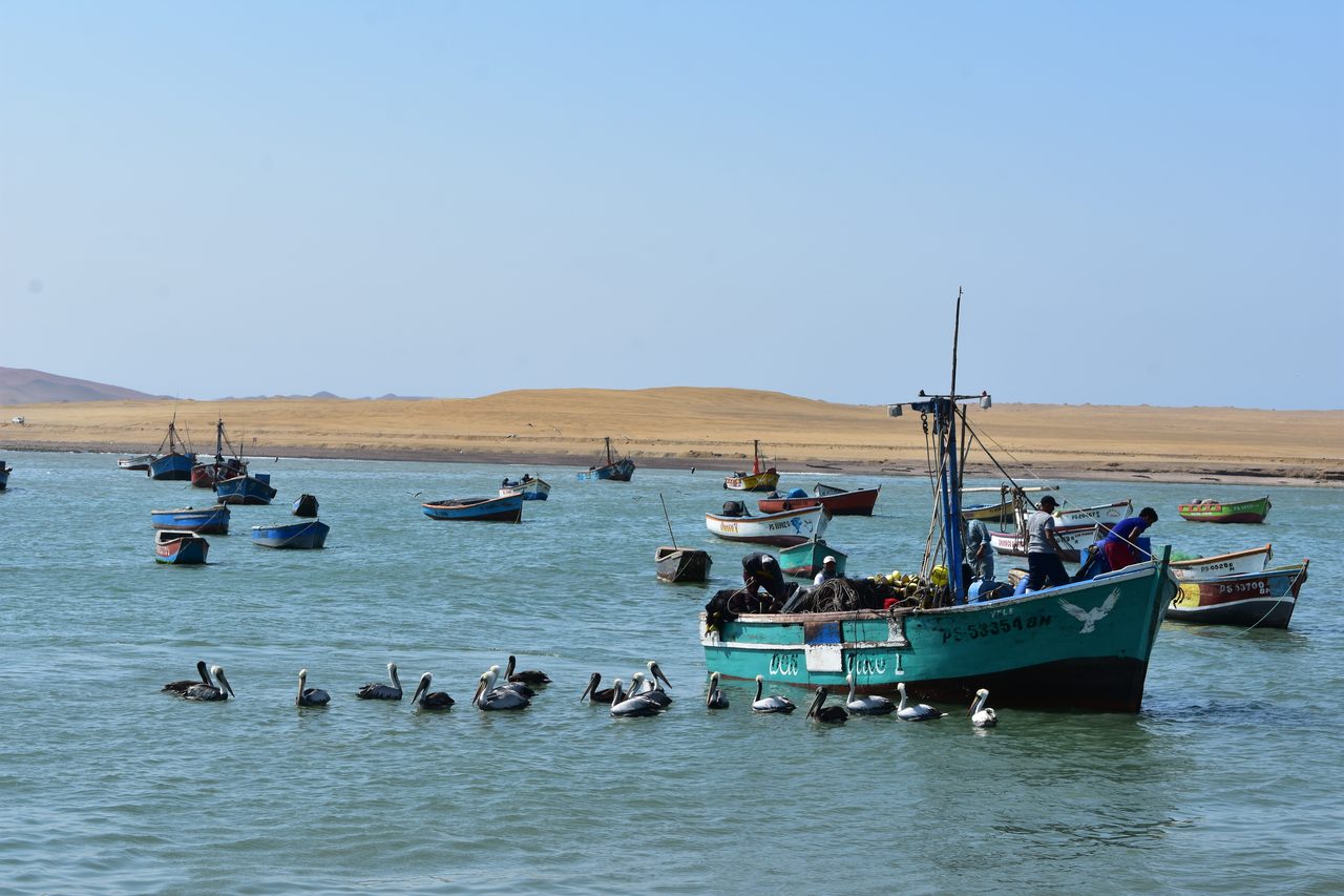 Paracas, Isla Ballesta and Parque National Paracas