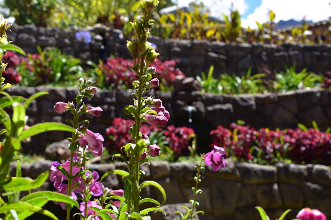 The Sacred Valley – Pisac, Urubamba, Ollantaytambo, Moray and Salineras de Maras
