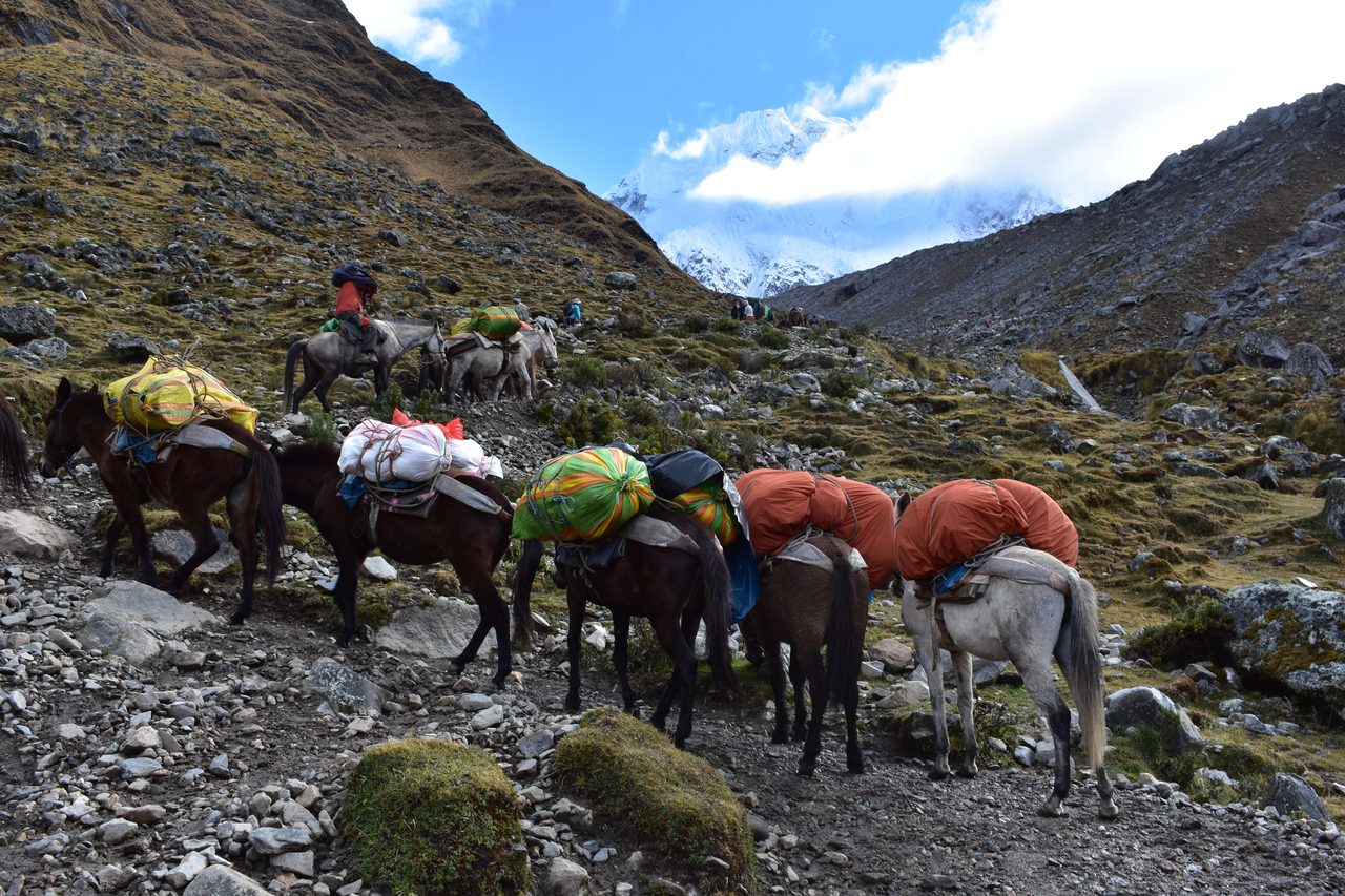 Salkantay Trek to Machu Picchu