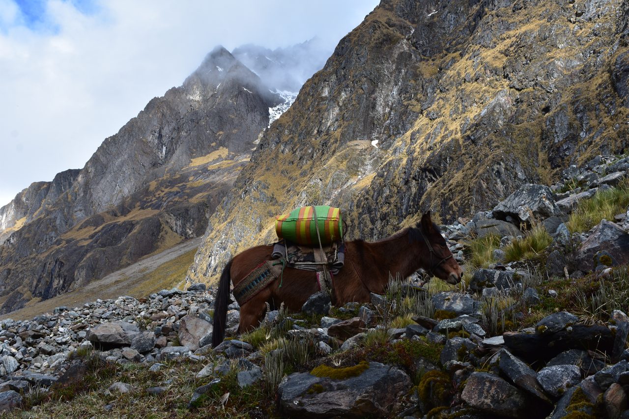 Salkantay Trek to Machu Picchu