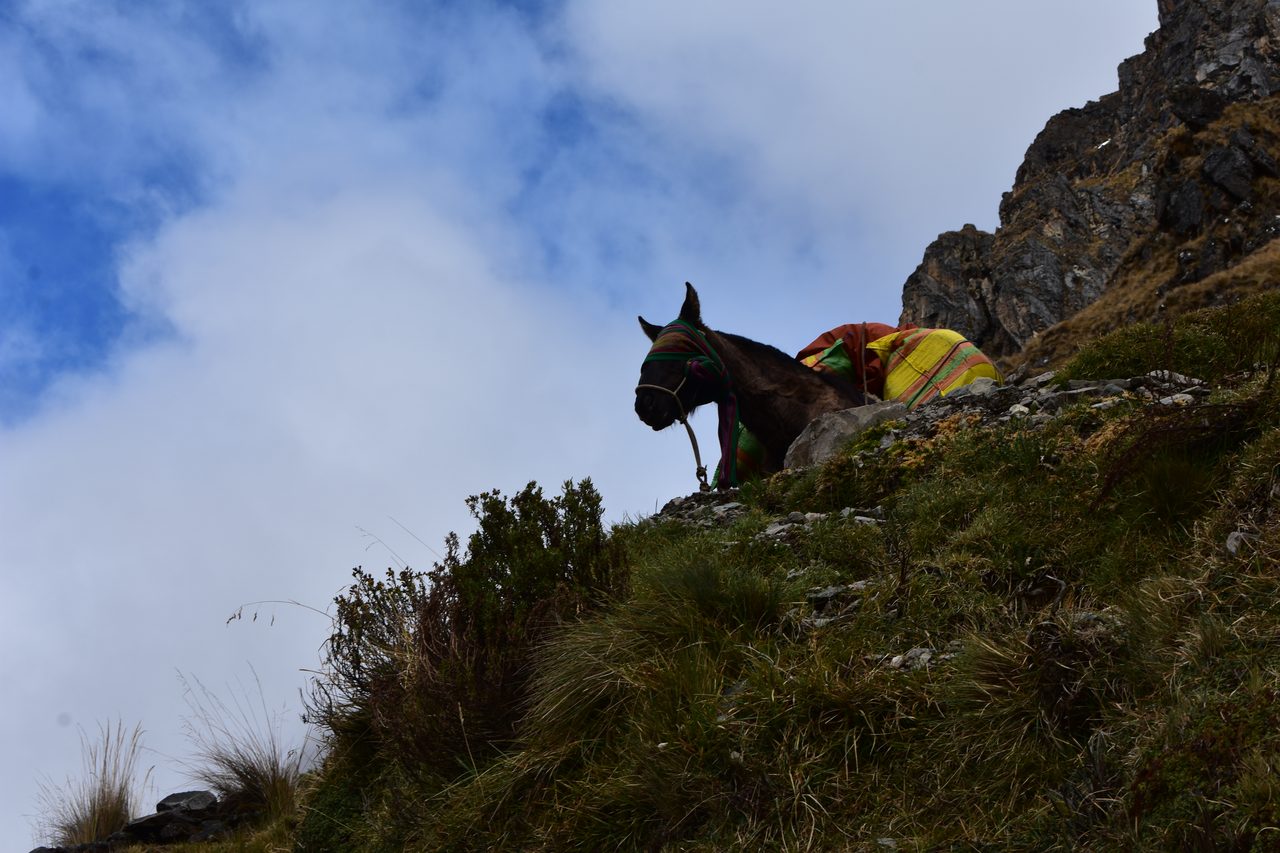 Salkantay Trek to Machu Picchu