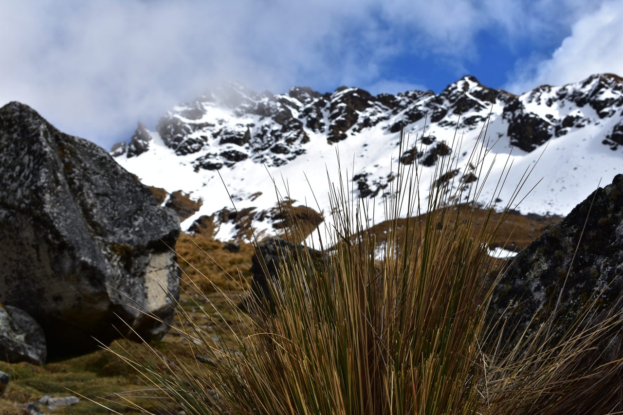 Salkantay Trek to Machu Picchu