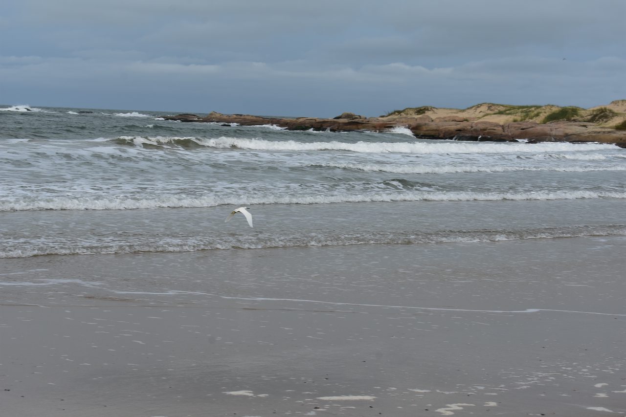 Uruguay – Punta del Diablo and Montivideo