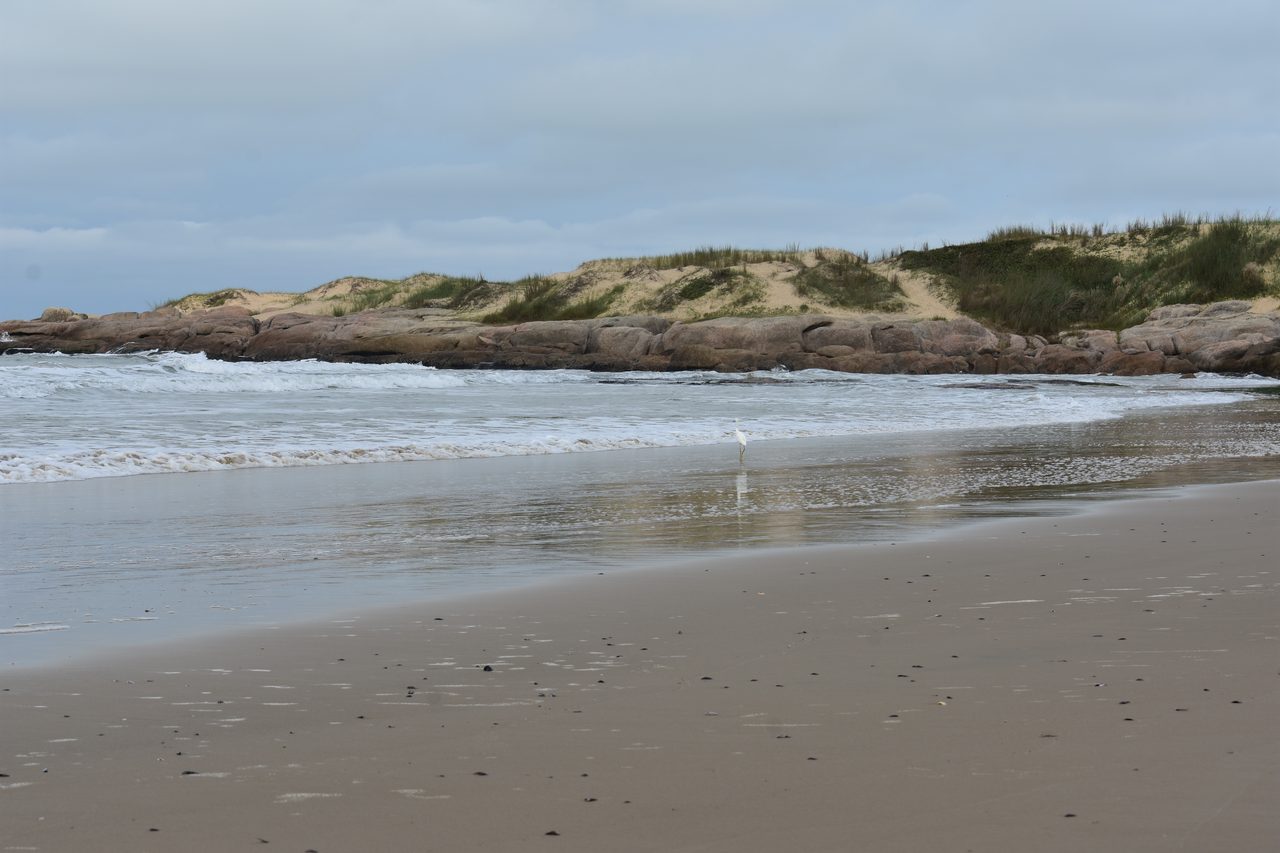 Uruguay – Punta del Diablo and Montivideo