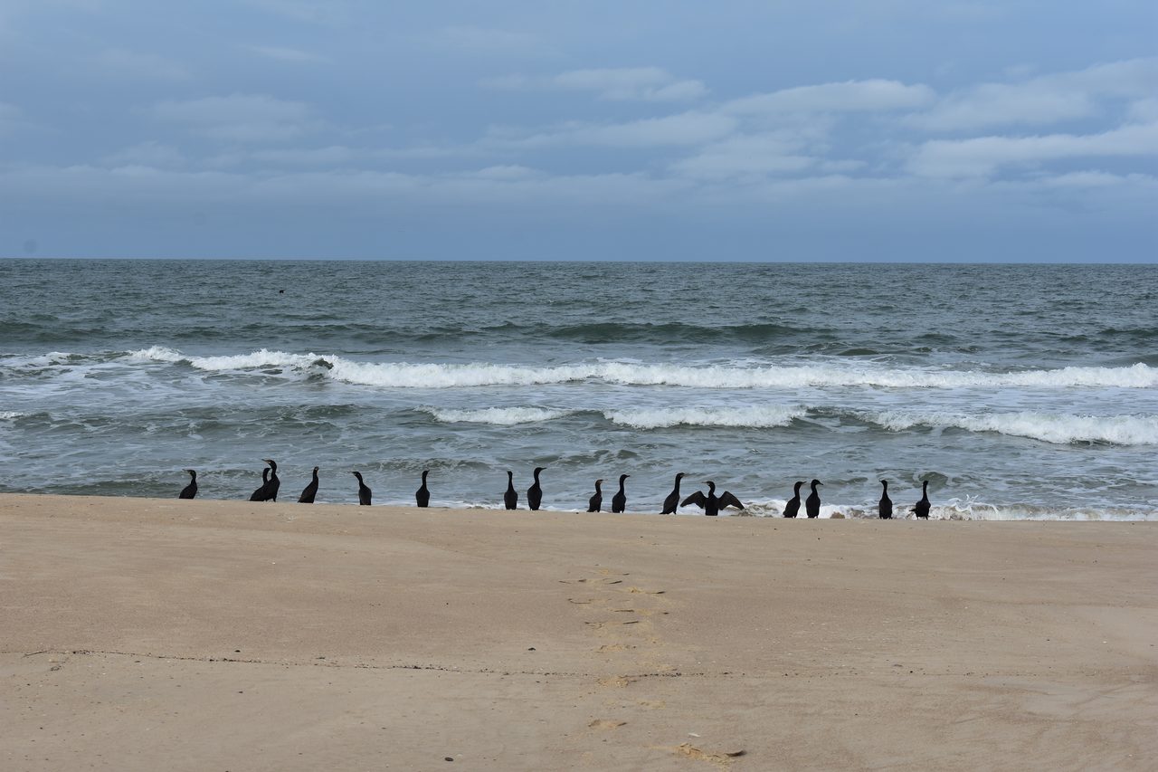 Uruguay – Punta del Diablo and Montivideo