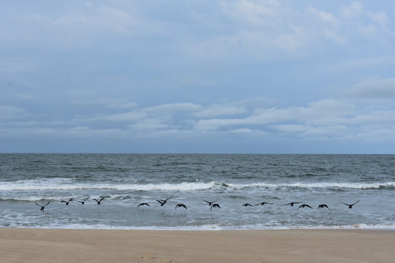 Uruguay – Punta del Diablo and Montivideo
