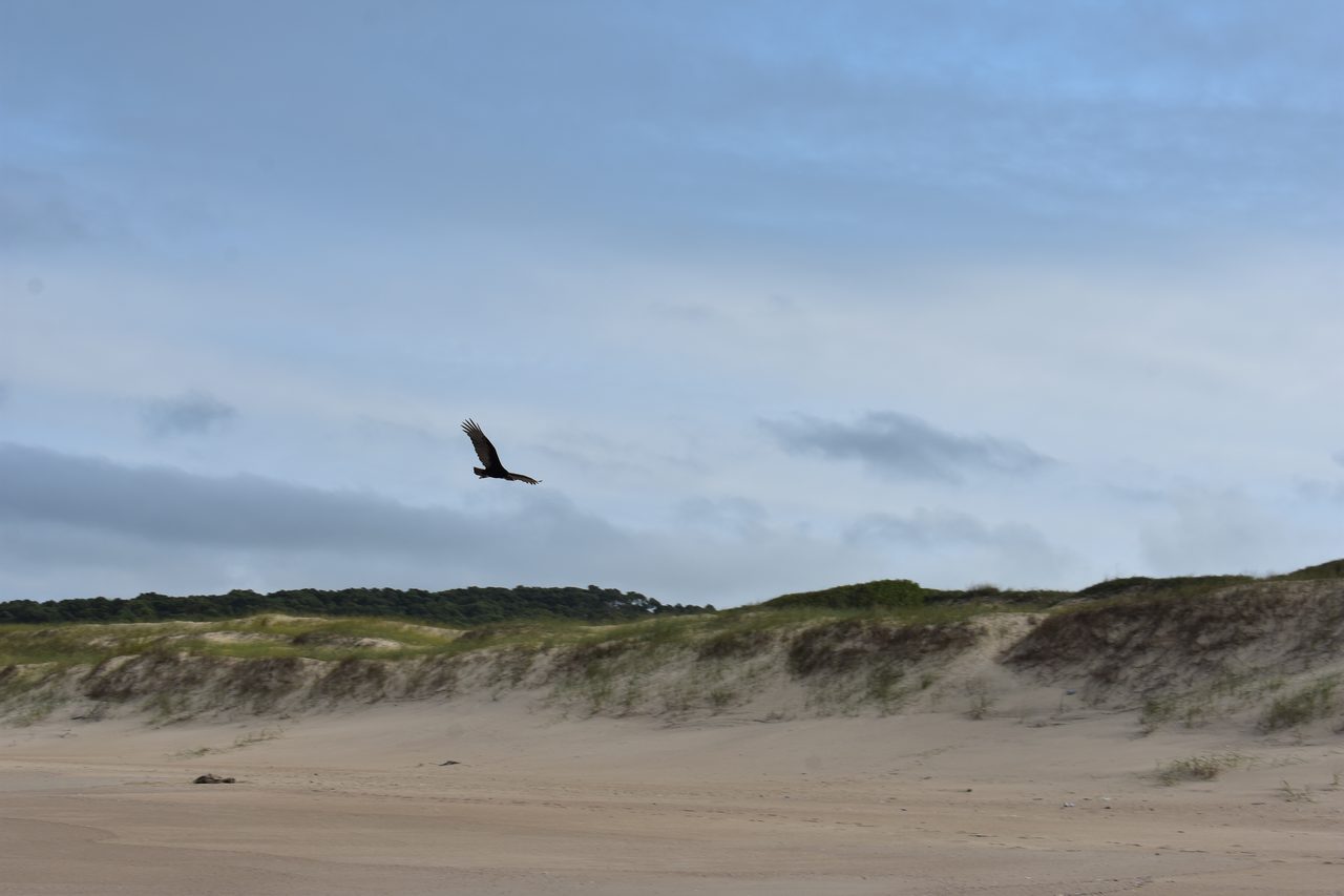 Uruguay – Punta del Diablo and Montivideo