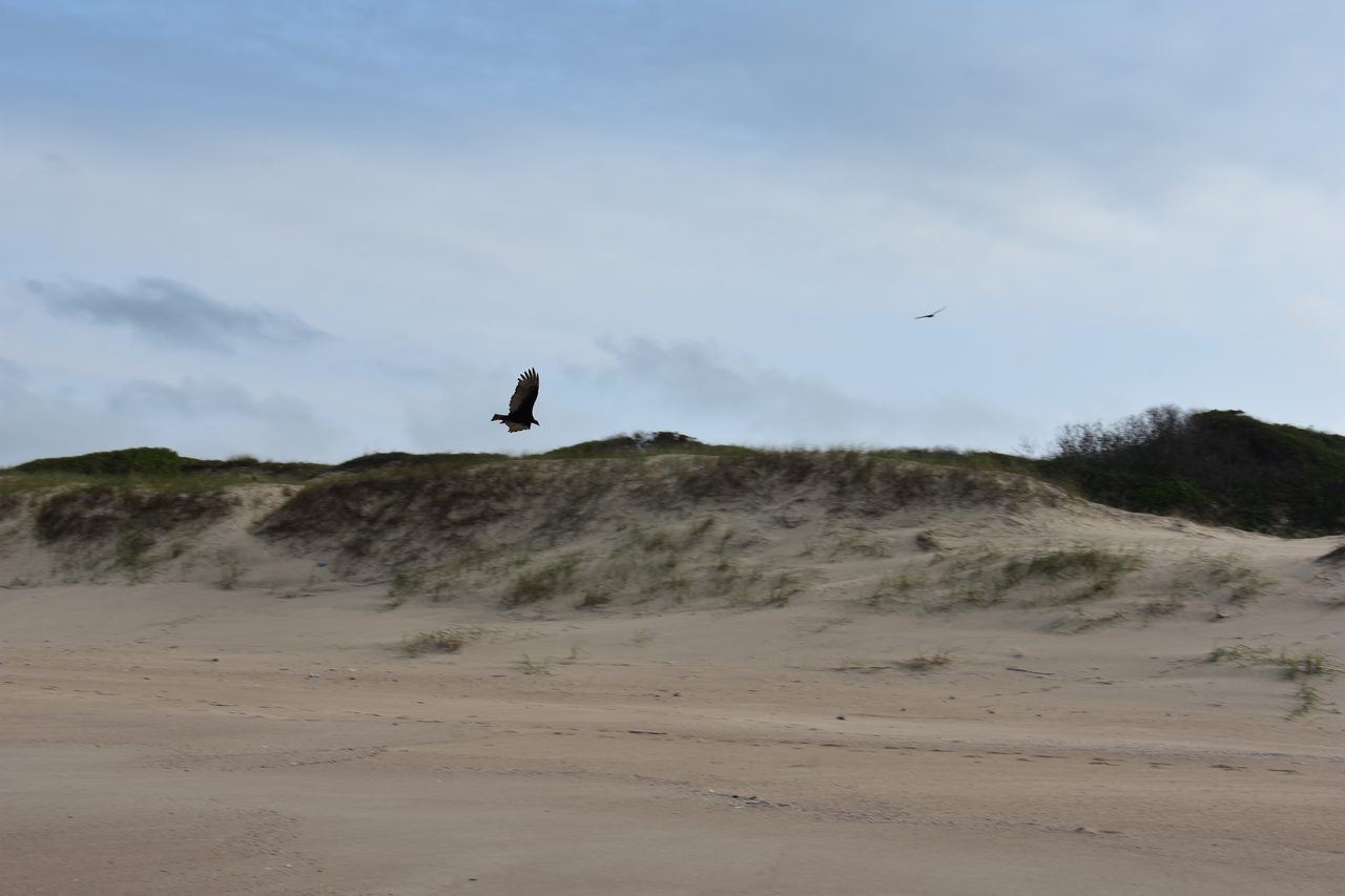 Uruguay – Punta del Diablo and Montivideo