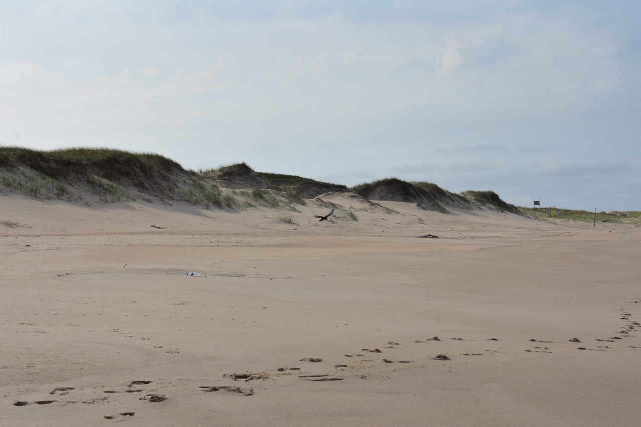 Uruguay – Punta del Diablo and Montivideo