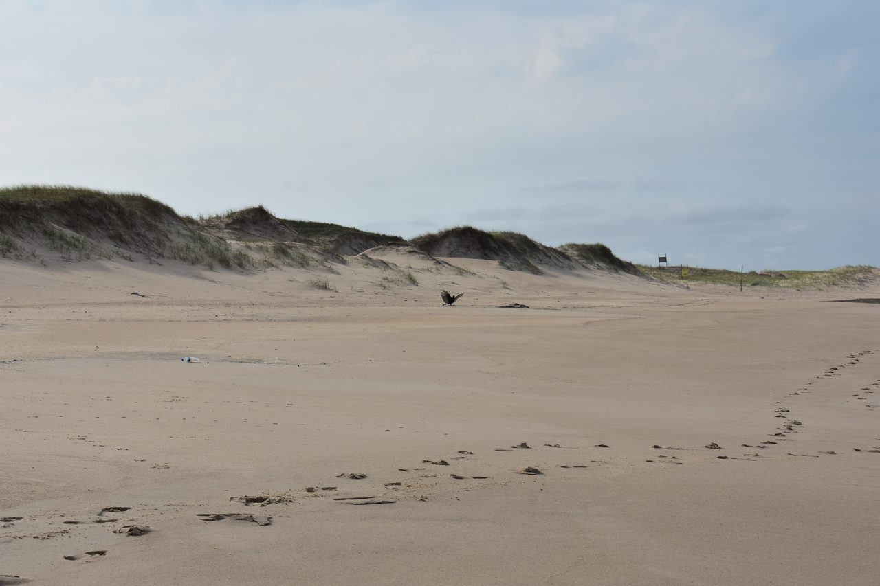 Uruguay – Punta del Diablo and Montivideo