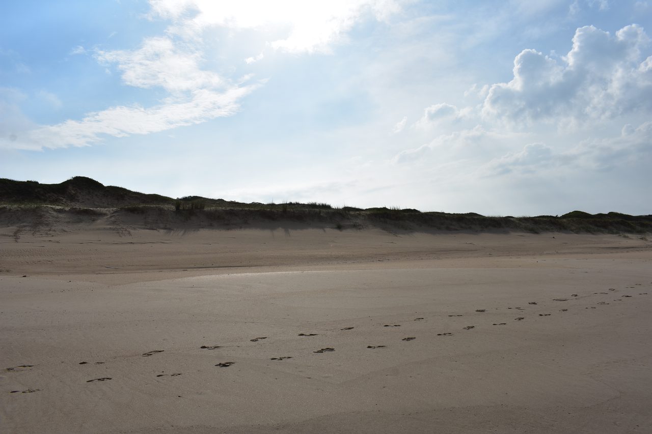 Uruguay – Punta del Diablo and Montivideo