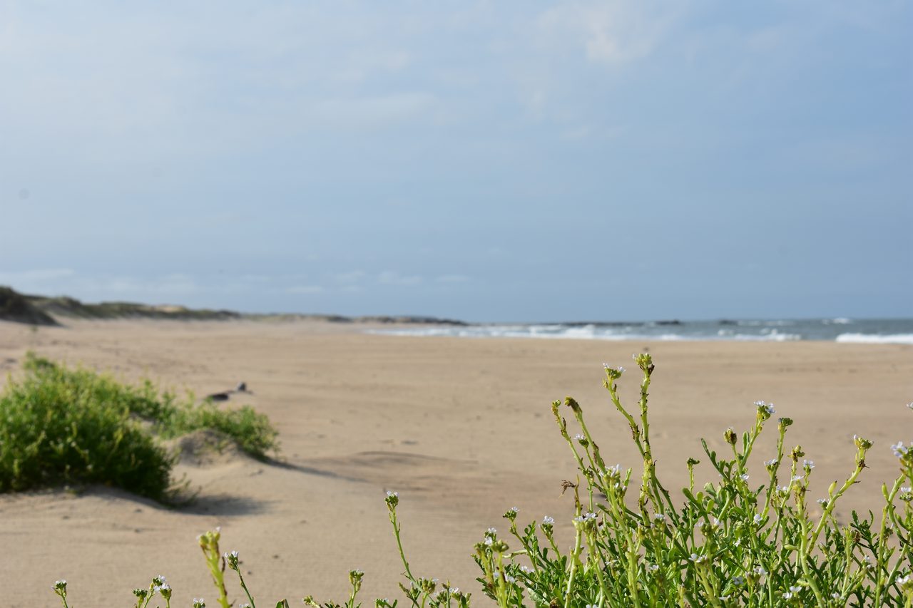 Uruguay – Punta del Diablo and Montivideo