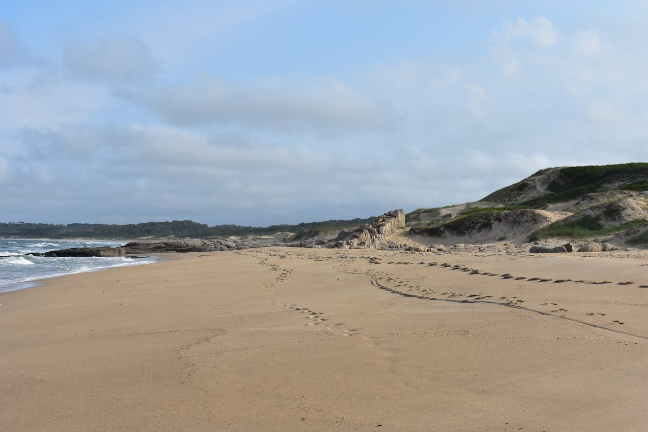 Uruguay – Punta del Diablo and Montivideo