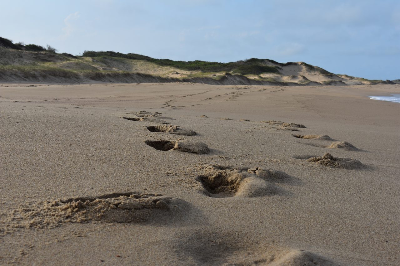 Uruguay – Punta del Diablo and Montivideo