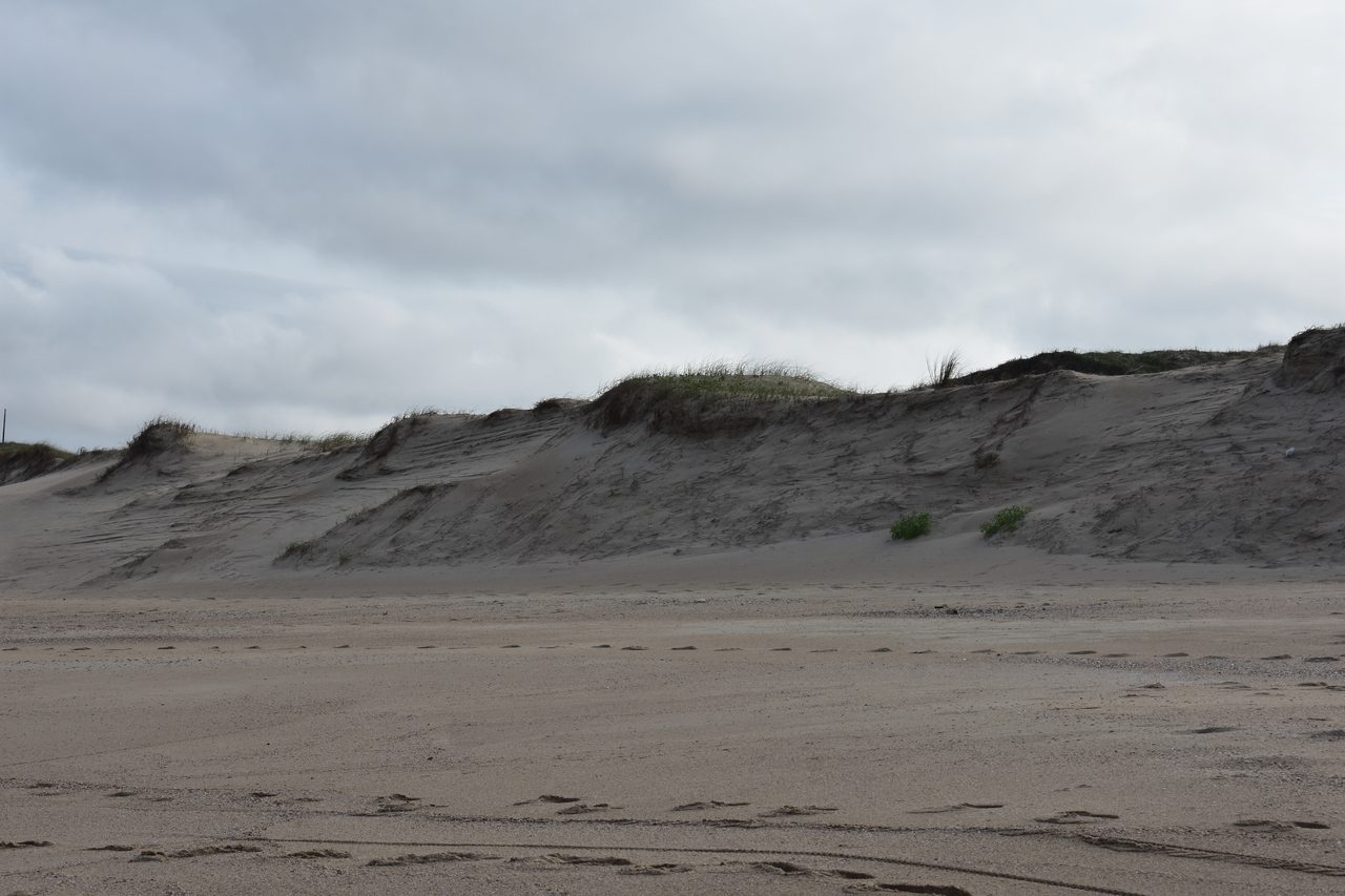 Uruguay – Punta del Diablo and Montivideo
