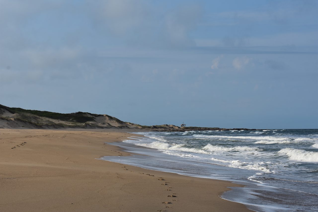 Uruguay – Punta del Diablo and Montivideo