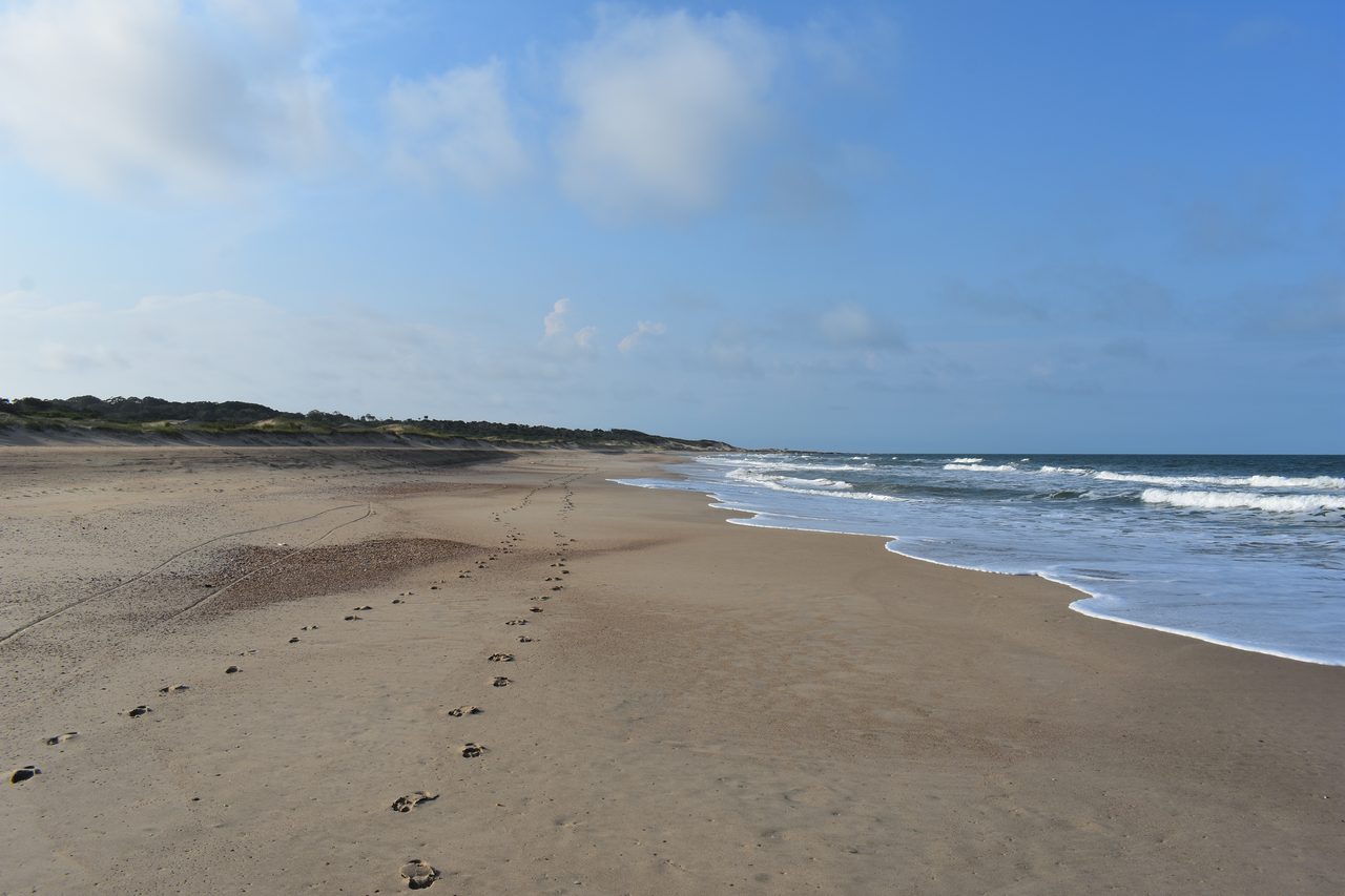 Uruguay – Punta del Diablo and Montivideo