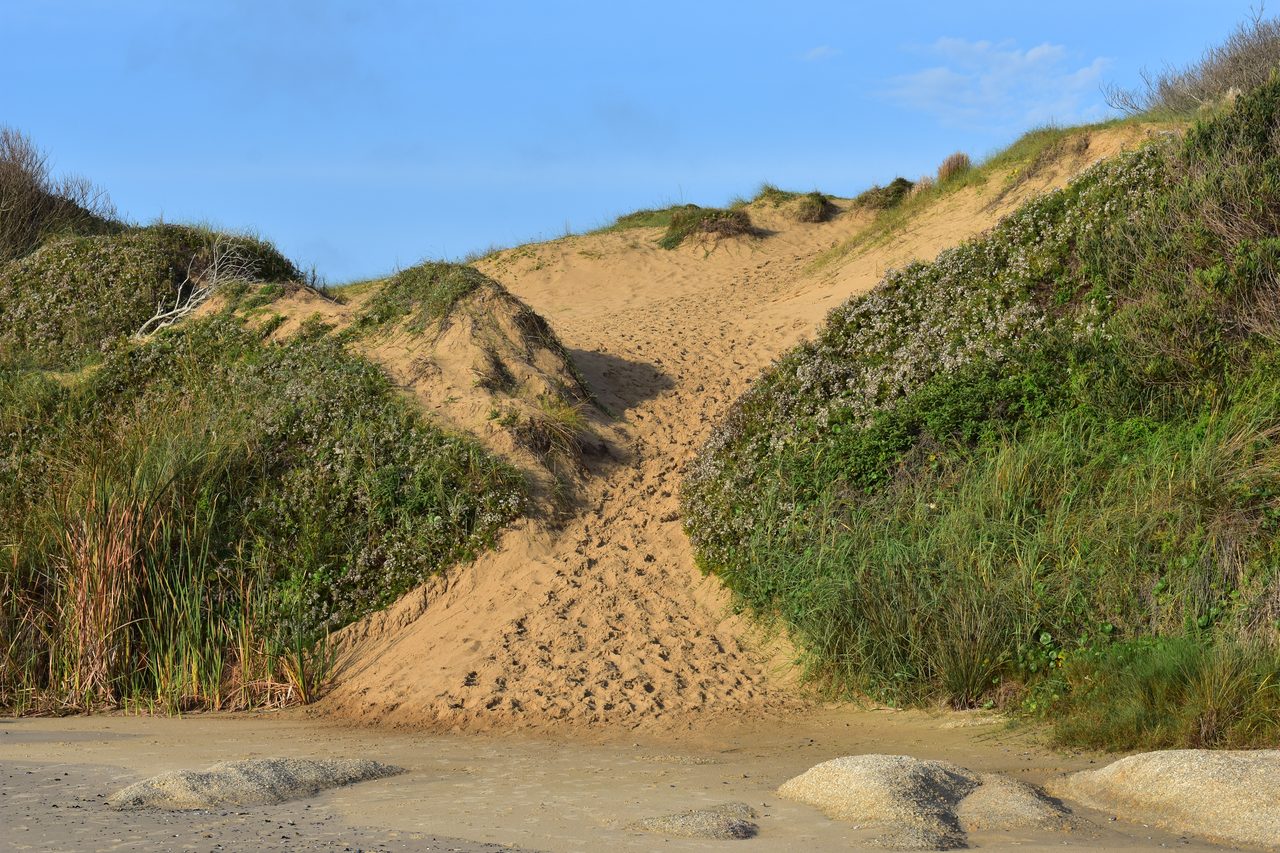 Uruguay – Punta del Diablo and Montivideo